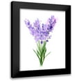 thumbnail image 1 of Shefranov, Olga 20x24 Black Modern Framed Museum Art Print Titled - Purple Flowers V, 1 of 5