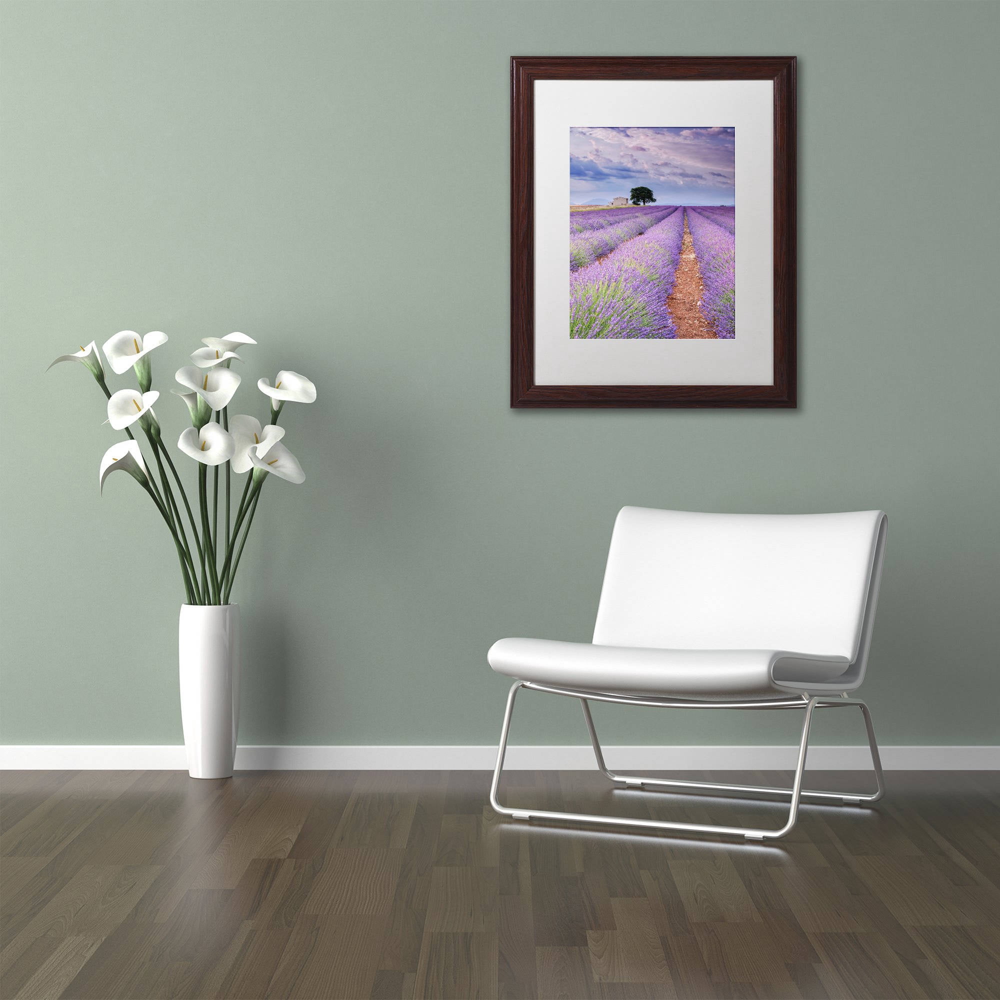 Trademark Fine Art "Rows Of Lavender" Canvas Art by Michael Blanchette Photography White Matte, Wood Frame
