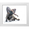 thumbnail image 1 of Shefranov, Olga 14x12 White Modern Wood Framed Museum Art Print Titled - Elephant II, 1 of 4