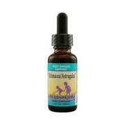 Herbs For Kids Echinacea Astragalus, 1 Oz
