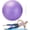 Purple, variant on Pilates Ball, 9,8 Inch Small Exercise Mini Soft Workout Yoga Ball with Exercise Guide, for  Gym Yoga, Pilates, Core , Workout, , Stability