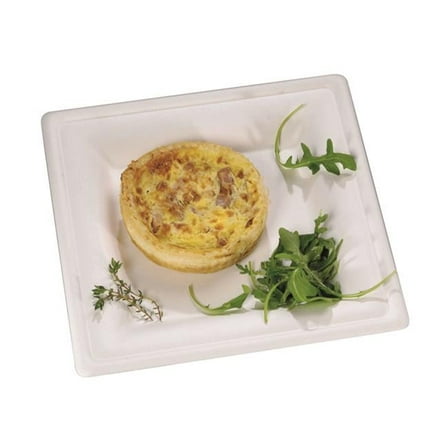 Square White Sugarcane Plate