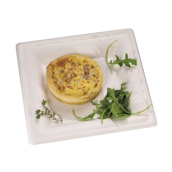 Square White Sugarcane Plate