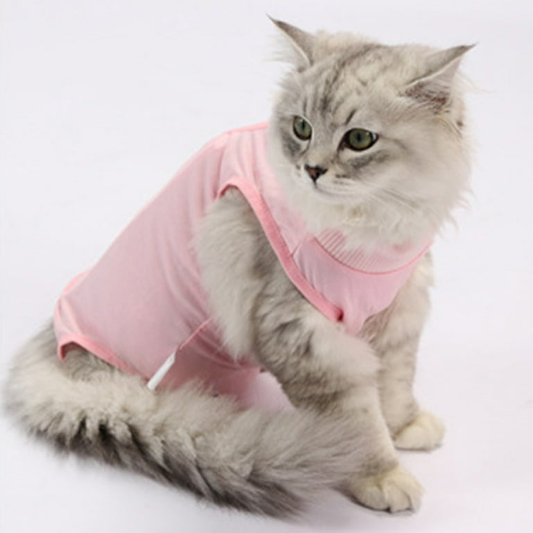 Cat Recovery Suit for Abdominal Wounds Spay After Surgery, Professional  Breathable Surgical Body Suit for Cats Dogs Neuter, Pet Anxiety Vest Shirt  Anti Licking,,s，G6507 