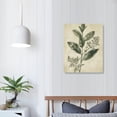 thumbnail image 4 of Acheng Vintage Botanical Wall Art Prints, Neutral Botanical Plant Prints Retro Botany Green Leaves Shrub Canvas Wall Art Pictures, Home or Office Walls 12x16 in, 4 of 5