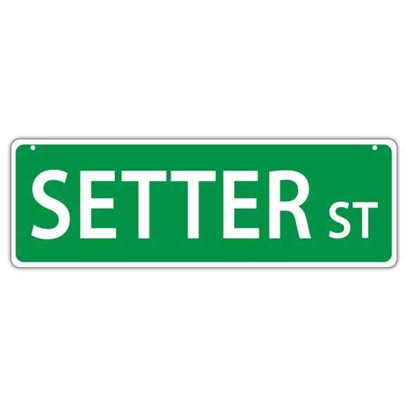 Plastic Street Signs: SETTER STREET (ENGLISH, GORDON) | Dogs, Gifts