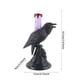 thumbnail image 5 of Lámpara de Cuervo Negro - Candelabro de Halloween Luz de Cuervo, decoración de lámparas de Mesa de pájaros, decoración de luz de Cuervo, lámpara de pájaro de Resina Vintage para Sala, 5 of 5