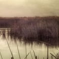 thumbnail image 2 of Poinski, Dianne 12x12 White Modern Wood Framed Museum Art Print Titled - Wetlands Marsh 3, 2 of 4