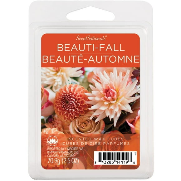 ScentSationals Scented Wax Cubes -Beauti-Fall