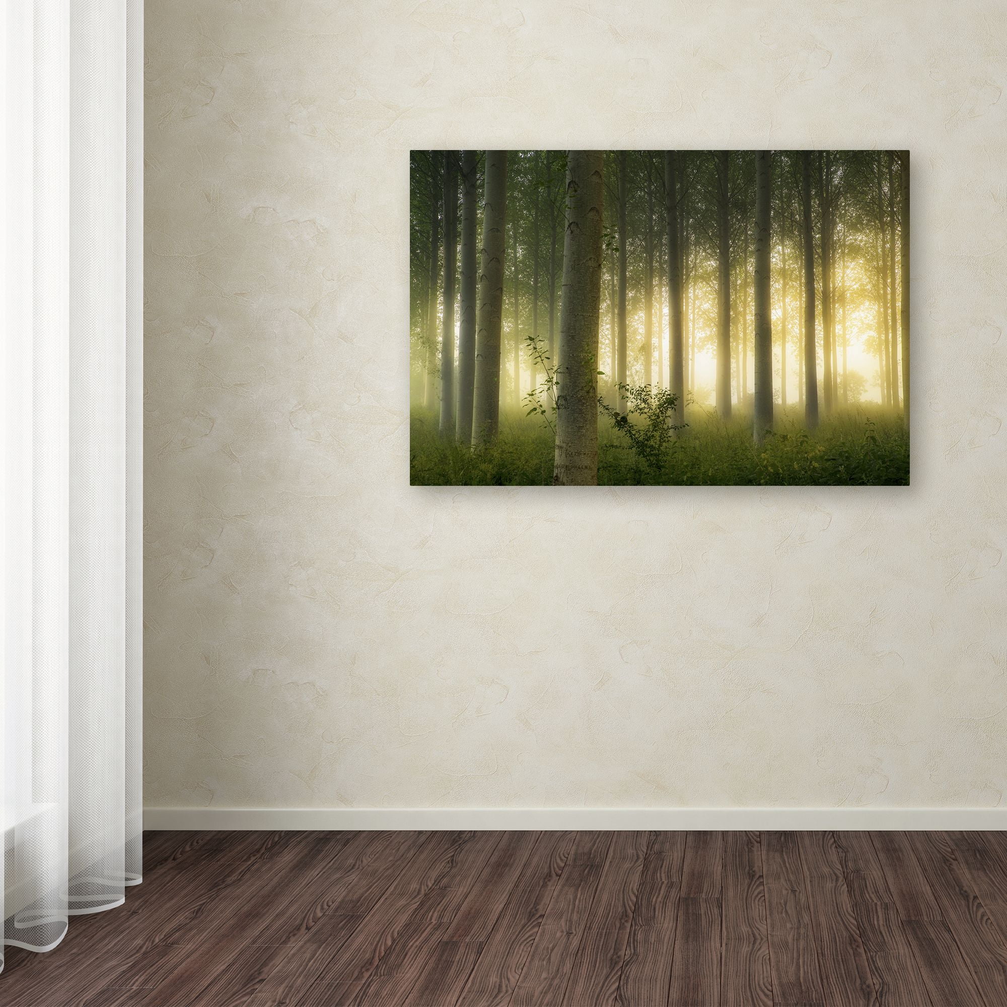 Mathieu Rivrin 'Enchanted World' Canvas Art 16 x 24