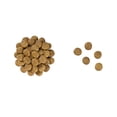 thumbnail image 2 of Alimento para Perro Royal Canin Early Cardiac 3.5 kg Royal Canin Veterinario 3.5 kg, 2 of 2
