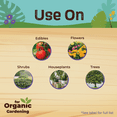 thumbnail image 4 of Bonide Captain Jack's Neem Oil Insect & Disease Killer - Pack of 4 — Residential Use, Standard Application, 4 of 5