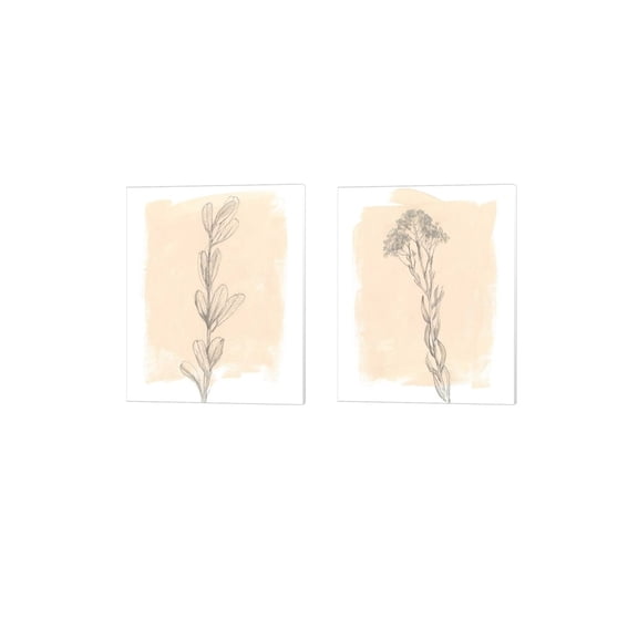 Metaverse Jennifer Goldberger 'Branch on Blush' Canvas Art (Set of 2)