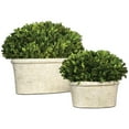 thumbnail image 1 of Uttermost 2-Piece Ceramic Oval Dome Preserved Boxwood Set in Mossy Green, 1 of 3