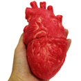 thumbnail image 3 of Corazón humano falso de látex, tamaño natural, accesorios de terror sangriento para Halloween, 3 of 6