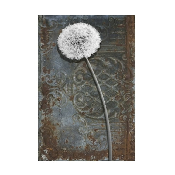 Canvas Wall Art - Sasha 'Engraved Dandelion' Wall Art for Living Room, Bedroom, or Office Décor by Trademark Fine Art - 12 x 19 Inches