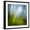 Black Frame, variant on Art.com Morning Grass Photographic Print by Ursula Abresch, 24" x 24"