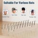 thumbnail image 5 of 2Pcs Baseball Cap Organizer Acrylic Baseball Cap Storage Multi-Functional Storage Box New, 5 of 5