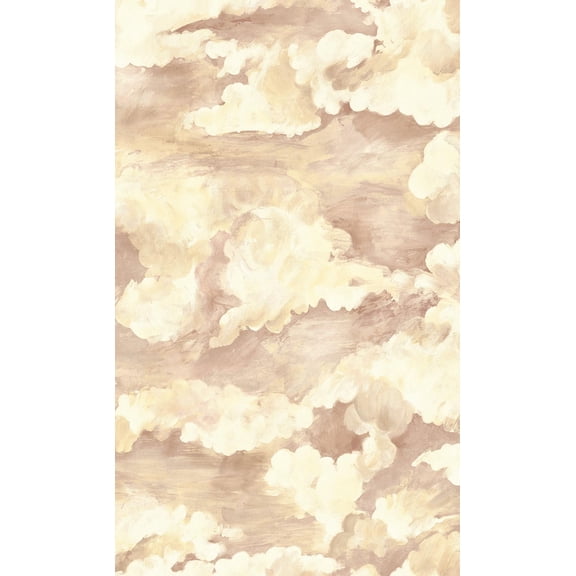 Coral Cloud Filled Sky Plain Textured Wallpaper