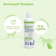 thumbnail image 2 of Champú Dermalyte Dermalyte, 355 ml, hidratante totalmente natural, 2 of 7