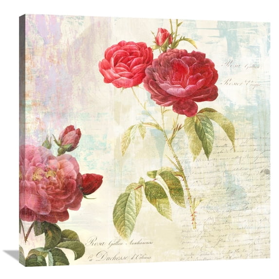 Global Gallery Eric Chestier,'Redoute's Roses 2.0 II' Stretched Canvas Artwork