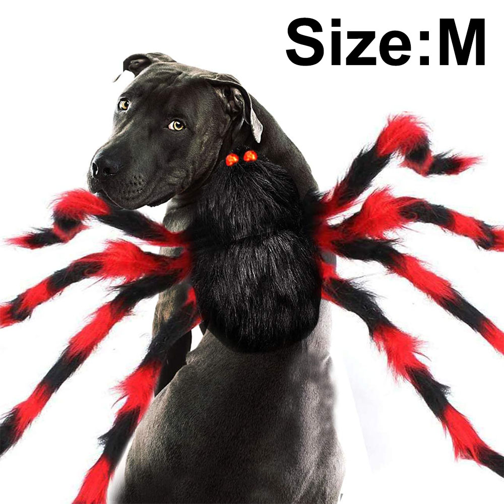 dog spider costume black