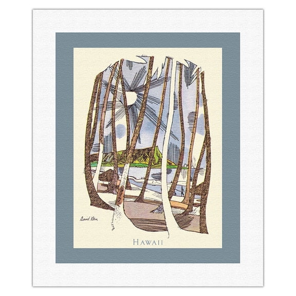 Hawaii - Vintage Travel Poster by David Klein c.1960s - Fine Art Rolled Canvas Print 16in x 20in