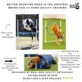 thumbnail image 4 of 3 Piece Dog Agility Equipment Set | Agility Jump | Tire Jump | 10’ Tunnel with Sandbags, 4 of 9