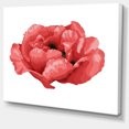 thumbnail image 2 of Belle Plante Paeonia Arborea - Impression d'Art Floral sur Toile, 2 of 3