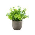 thumbnail image 2 of Simulación de mini maceta de gypsophila con pulpa para flores, maceta pequeña de flores falsas, adornos pequeños de escritorio, planta de simulación de bonsái, 2 of 5
