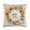 Pattern-2, variant on Pillow Protector Hello Fall Wreath Decorative Square Pillowcase Cushion Case Pumpkin Wreath Autumn Thanksgiving Outdoor Pillow Cover Cushion Case for Sofa Couch 16"x16"
