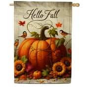 America Forever Hello Fall Pumpkin House Flag, 28x40 inch Double Sided, Thanksgiving Rustic Pumpkins, Sunflowers and Birds, Autumn Yard Flags for Outdoor Home Decor, Fall Garden Decoration
