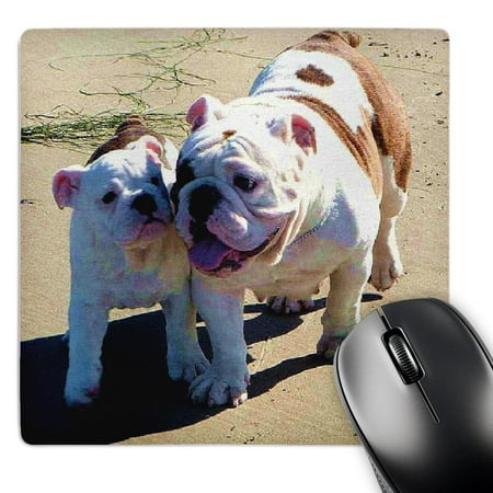 3dRose  You Belong With Me  MousePad price history on PriceWatchPro