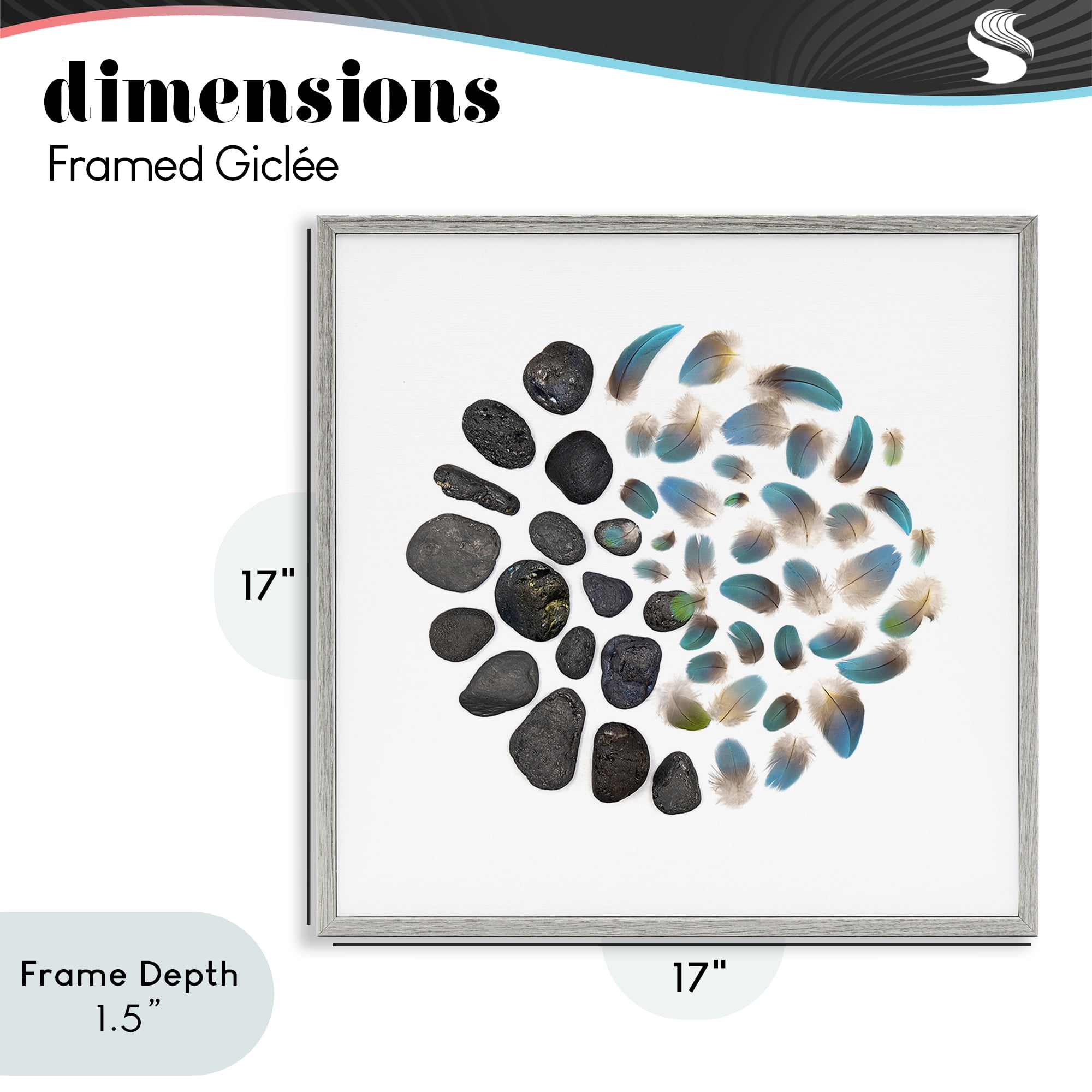 Stupell Industries Feathers & Rocks Collection Gray Framed Giclee Art, design by Beth Adoette