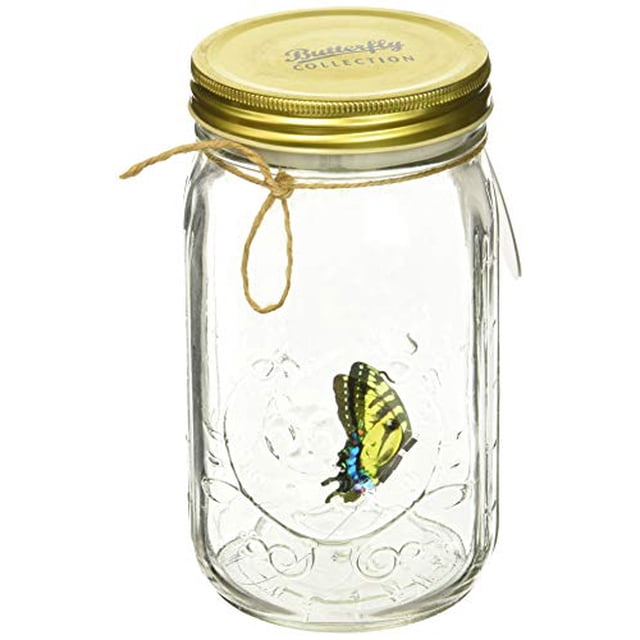 Science Purchase Animated Butterfly in a Jar Yellow Swallowtail Figurine