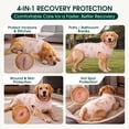 thumbnail image 6 of Kuoser Dog Surgical Recovery Suit Dog Cat Onesie after Surgery,Peach,XL, 6 of 9