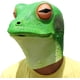 thumbnail image 3 of Fiesta de disfraces de Halloween Cabeza de animal Máscaras de látex Rana verde TUNC Sencillez, 3 of 4