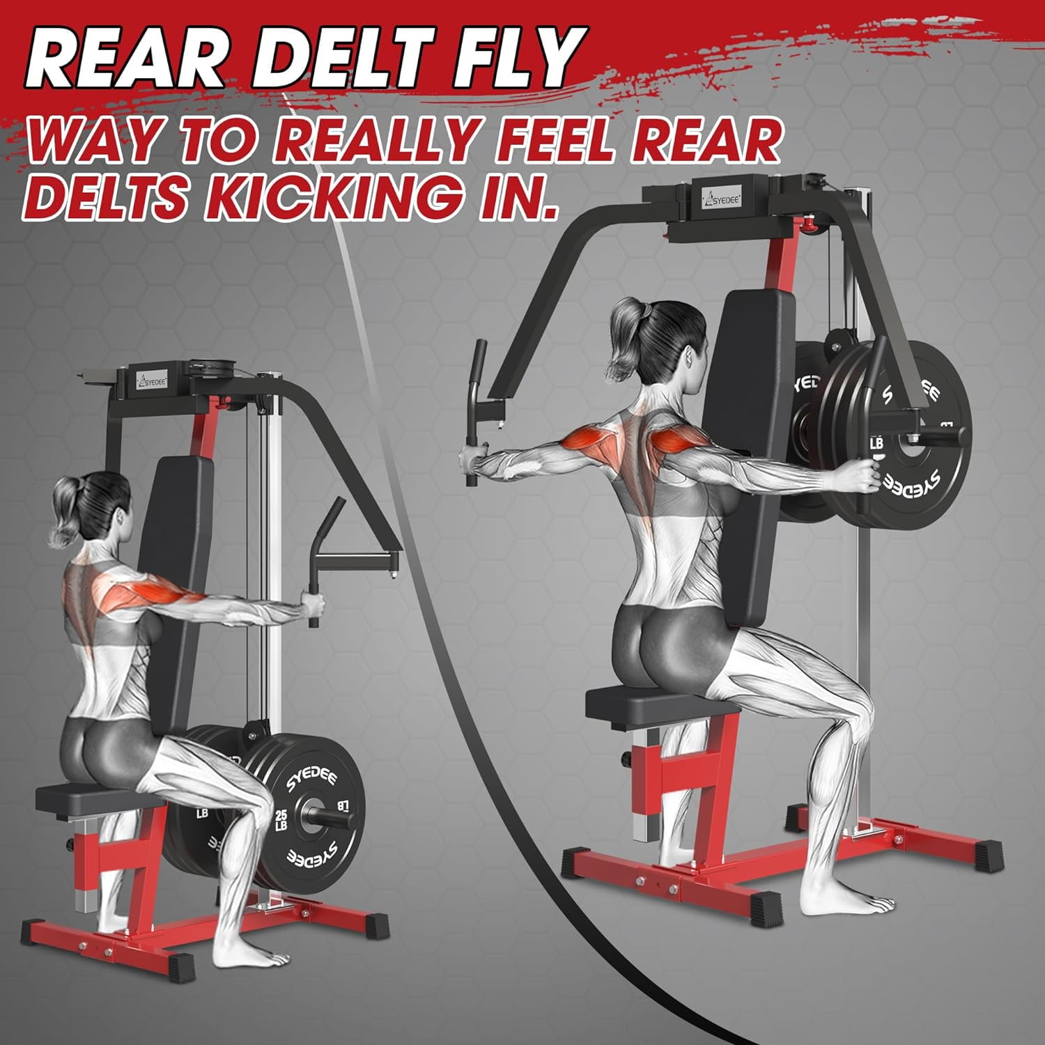 syedee Chest Fly and Reverse Delt Machine, 400 lbs Upper Body Specialty Machine for Pectoral and Rear Deltoid for Home Gym