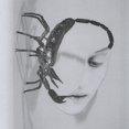 thumbnail image 1 of Tortoise - TOUCH - [Vinyle], 1 of 2