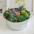 thumbnail image 4 of unbranded 1Ud Cubeta De Hierro Plateado Con Doble Asa Para Guardar Y Usar En Jardinería, 4 of 5