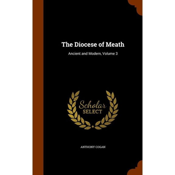 The Diocese of Meath : Ancient and Modern, Volume 3 (Hardcover)