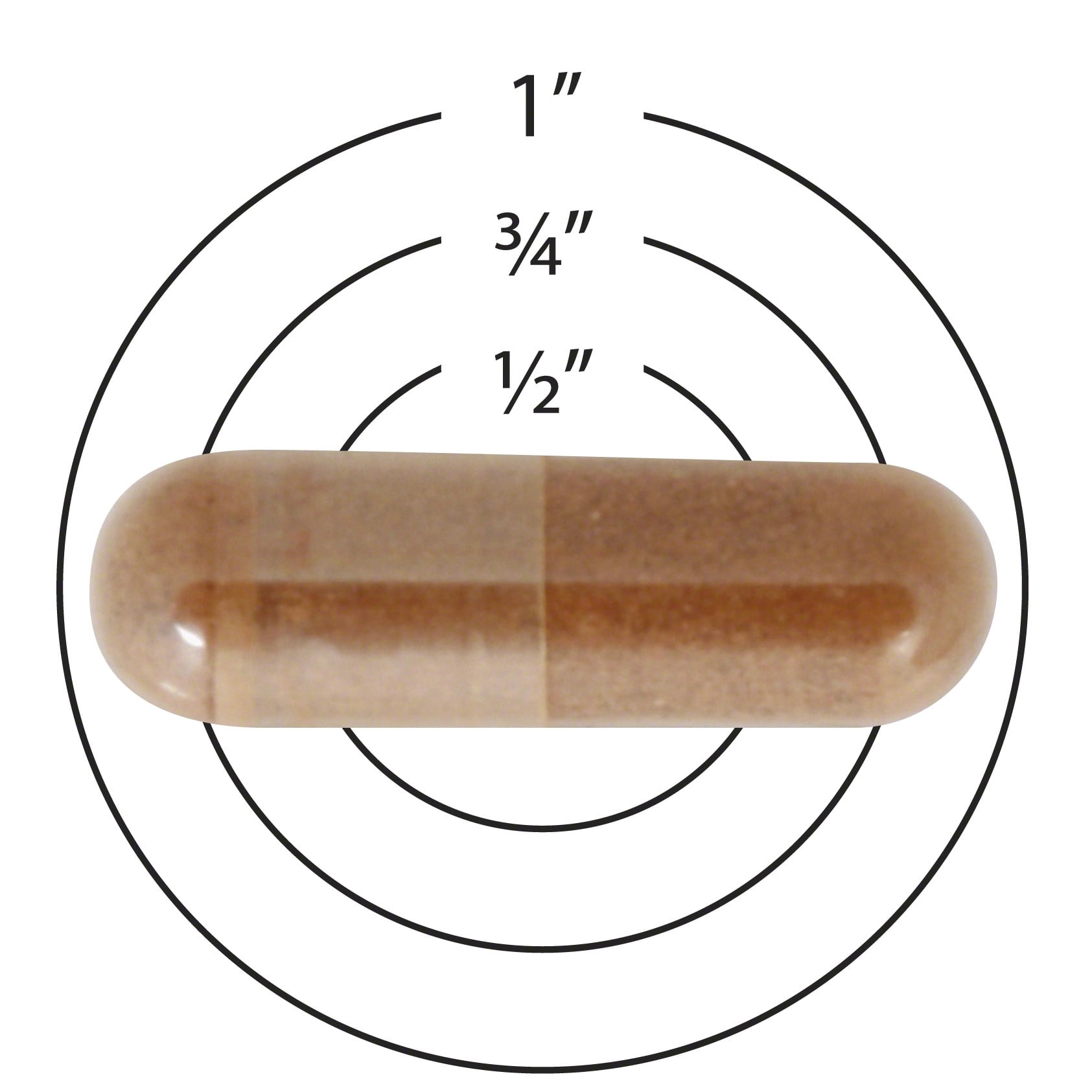 Sundown Naturals® Cinnamon 1000 mg, 200 Capsules