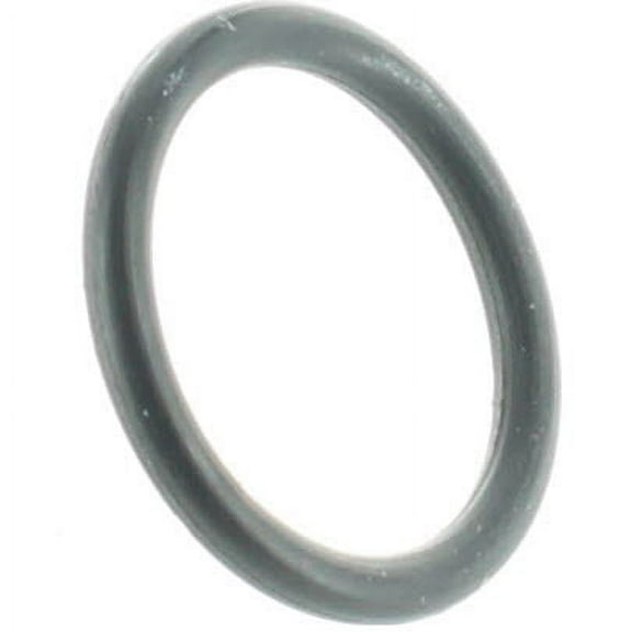 Johnson Evinrude OMC New OEM Rubber O-Ring, 0307450
