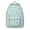Cute Shiba Inu, variant on Cute Cartoon Pug Backpack for School,Cute School Bag,Schoolbag with Adjustable Shoulder Straps & Padded Back,15.7"x11.8"x5.5"