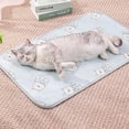 thumbnail image 5 of Pet Cooling Mat Ice Silk Dog Bed for Hot Weather, Breathable Heat Dissipation Cat Sleeping Pad with Non-Slip Bottom, Portable Summer Cool Cushion for Indoor Crate and Outdoor Travel, 23.62x39.37in, 5 of 9
