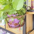 thumbnail image 3 of koolsoo Balcony Railing Flower Pot Holder Flower Rack Hanging Planter Shelf Bronze, 3 of 7