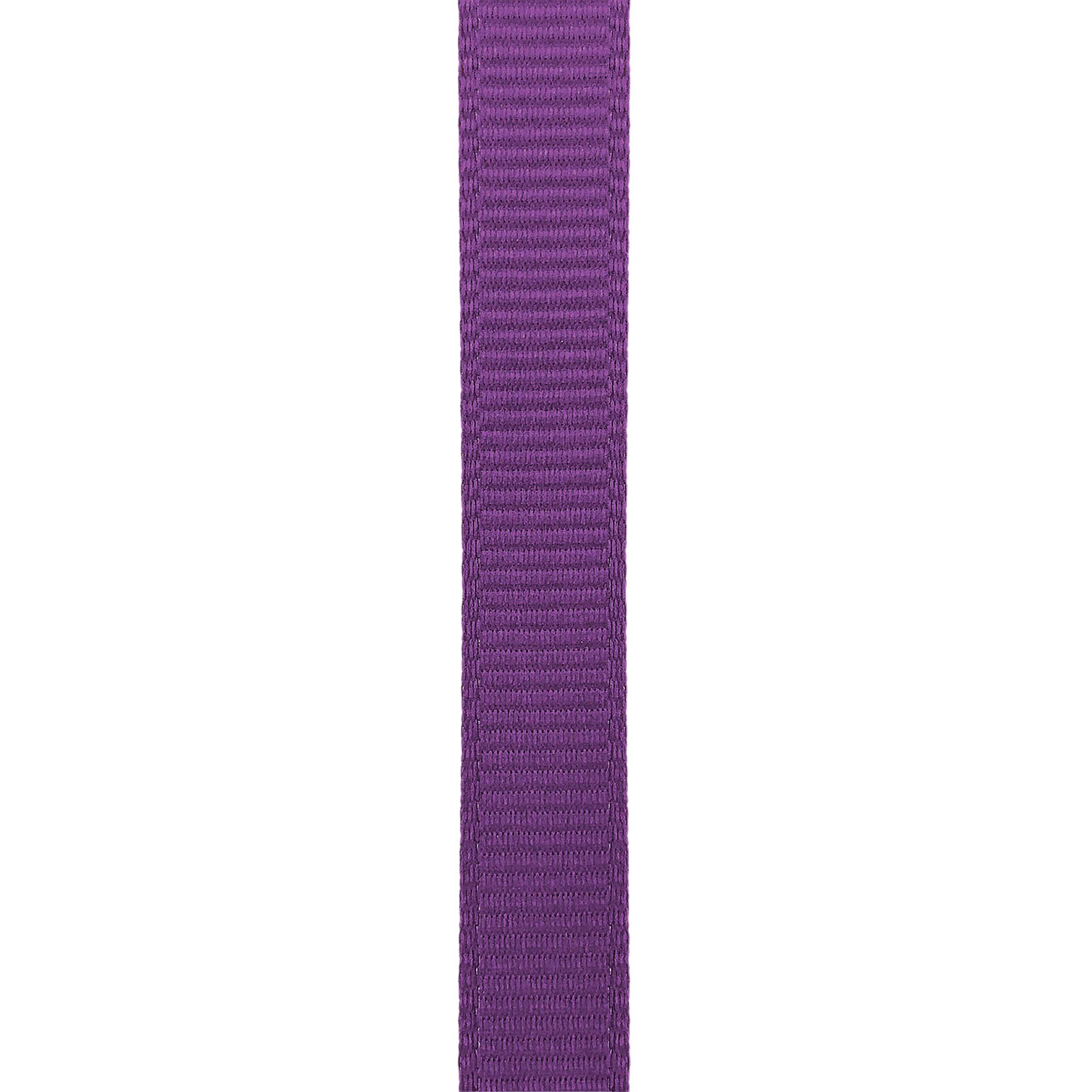 Purple Grosgrain Ribbon for Crafts and Bows, 3/8" x 100 Yards by Gwen Studios