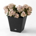 thumbnail image 2 of DMC Products 78378 14-Inch Vista Square Resin Wicker Planter, Black, 2 of 3