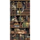 thumbnail image 1 of Cuadros Decorativos Pintura al óleo por números Estantería Gato Imagen sin marco Craft Kit para la habitación del hogar Likrtyny embutido en tela, 1 of 9