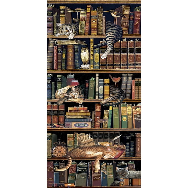 Cuadros Decorativos Pintura al óleo por números Estantería Gato Imagen sin marco Craft Kit para la habitación del hogar Likrtyny embutido en tela